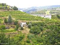 Quinta à venda em Resende, Viseu