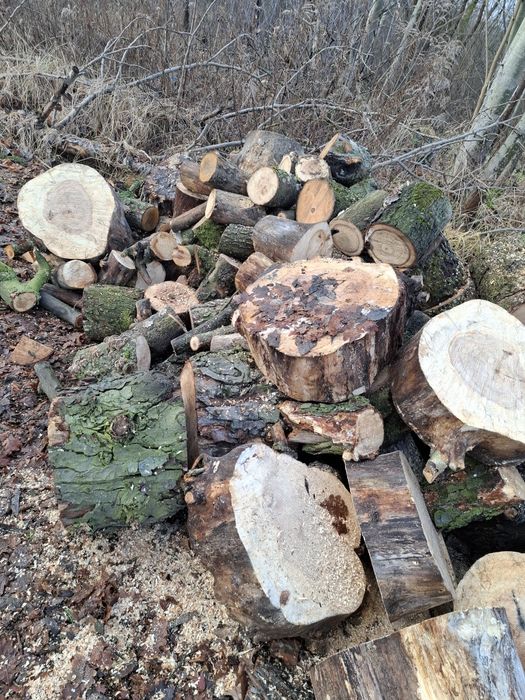 Drewno opałowe-kominkowe