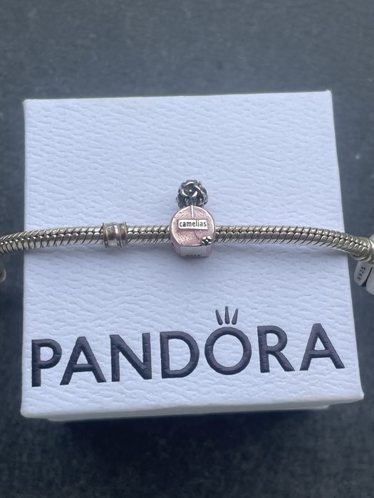 Pandora charms.  .