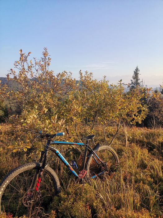 Trek marlin 7 2016 XXL