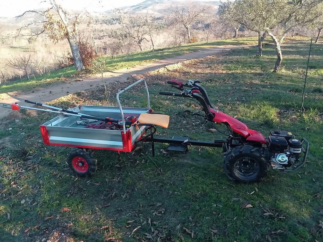 Motocultivador campeon 9 cv