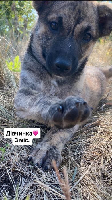 Девочка ищет заботливые ручки