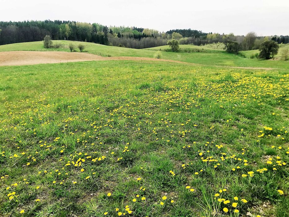 działka pod Mikołajkami, 550 m od jez. Inulec, w ratach 1447zł/miesiąc