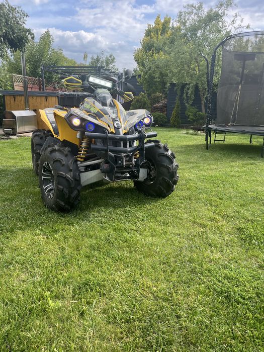 Quad canam renegade 800