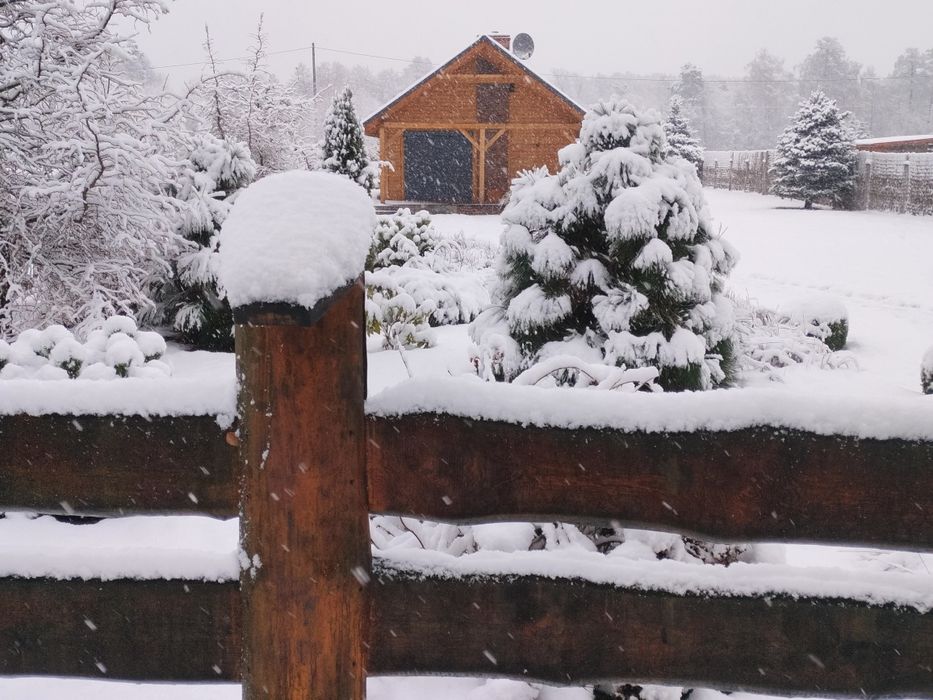 Domek Drewniany z Sauną i Balia na wyłączność