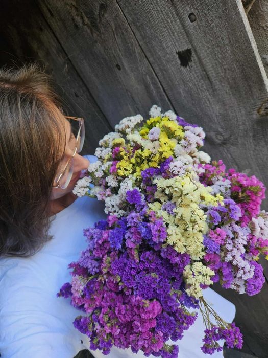 Zatrwian trawy kłosy kwiaty suche