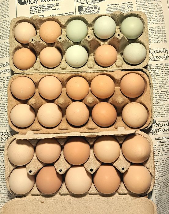 Jajka jakeczka wiejskie