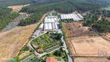 Loja / Estabelecimento Comercial em Ramalhal de 8000,00 m2