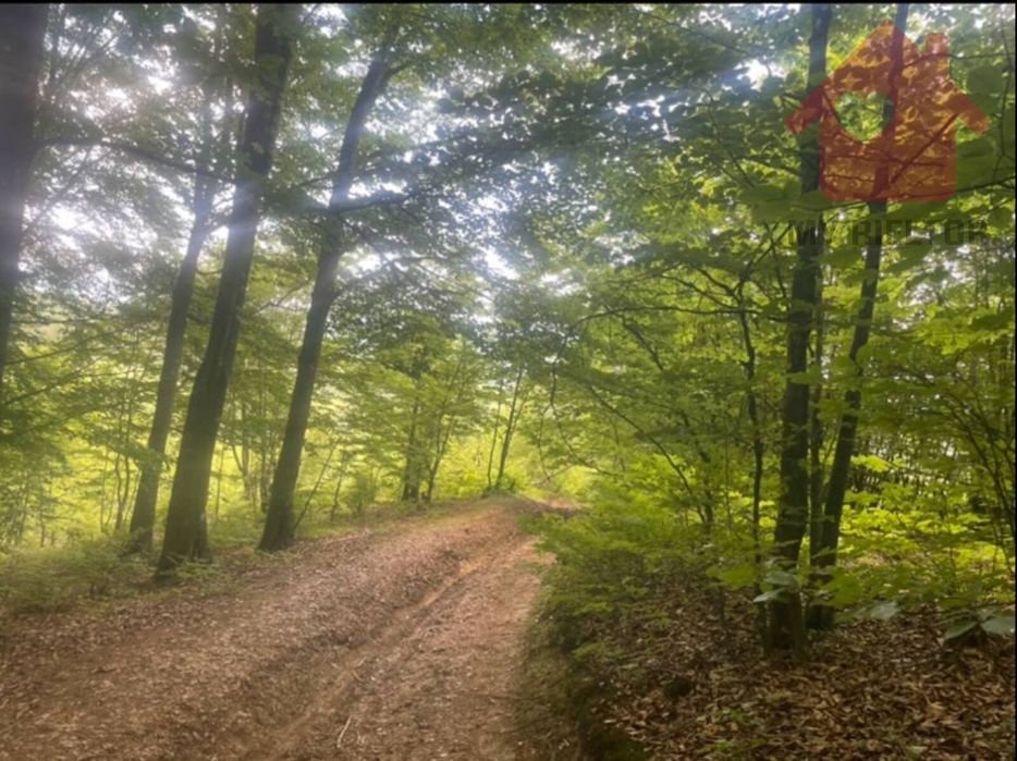 Продаж Ділянки Туря - Пасіка