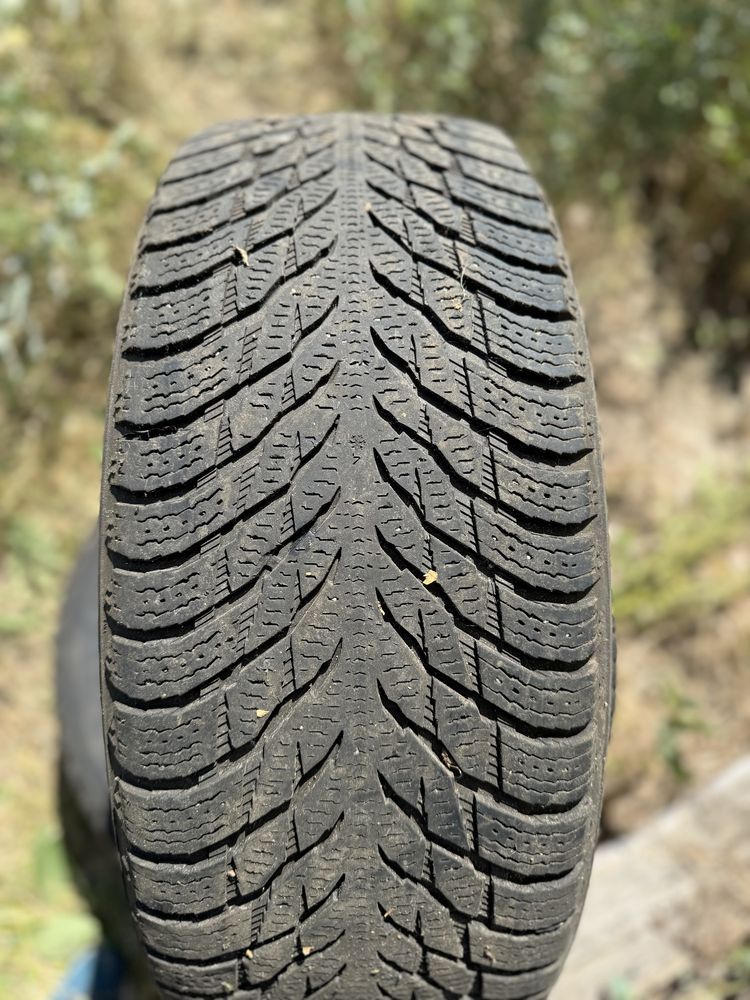 Nokian Tyres Hakkapeliitta R3 SUV (265/65R17 116R)