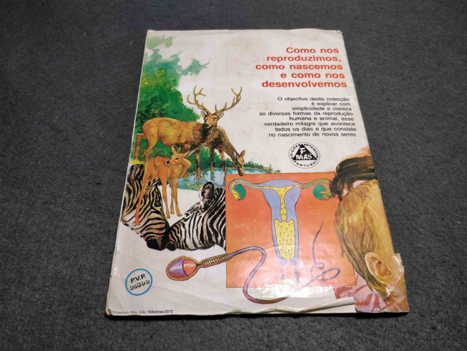 Antiga caderneta A origem da vida - falta 1 cromo