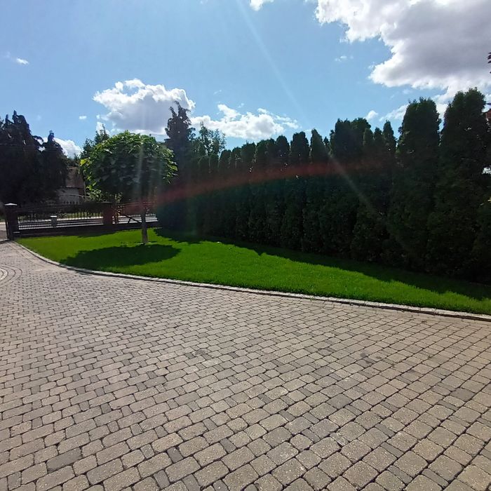 Usługi ogrodnicze