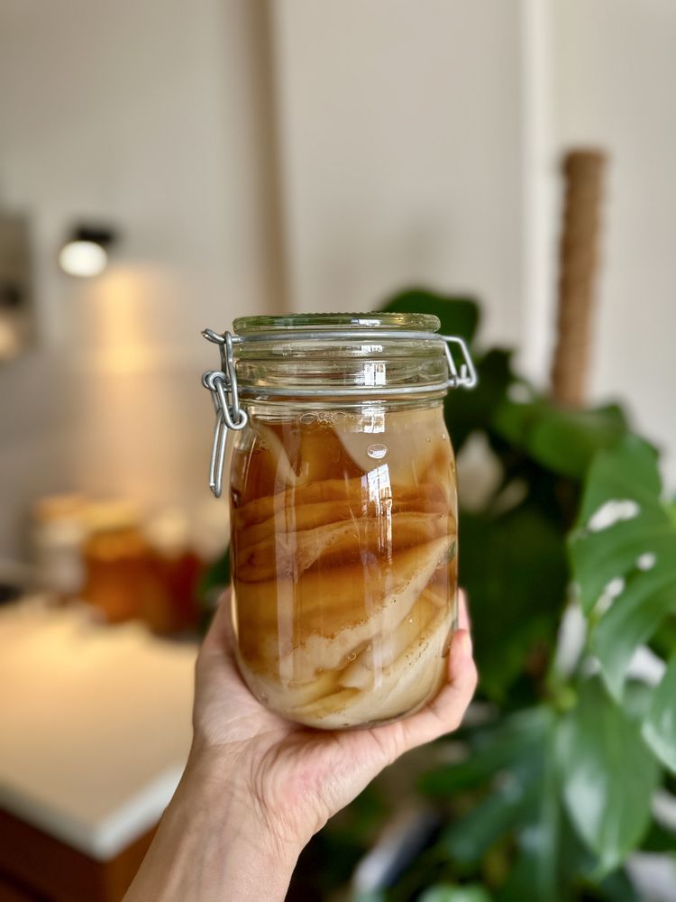 GRZYBEK herbaciany kombucha scoby starter zestaw