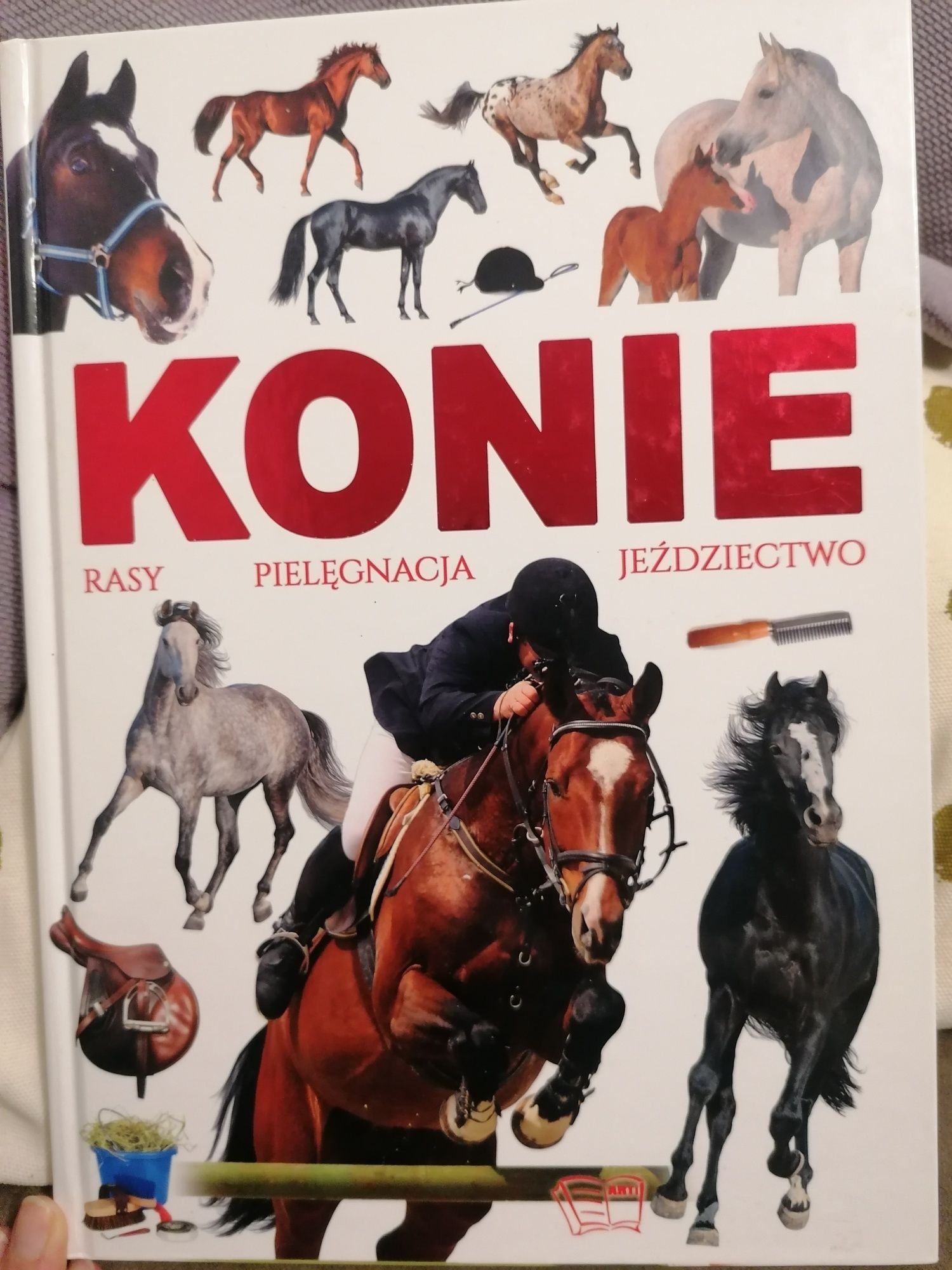 Książka Konie rasy pielęgnacja jeździectwo