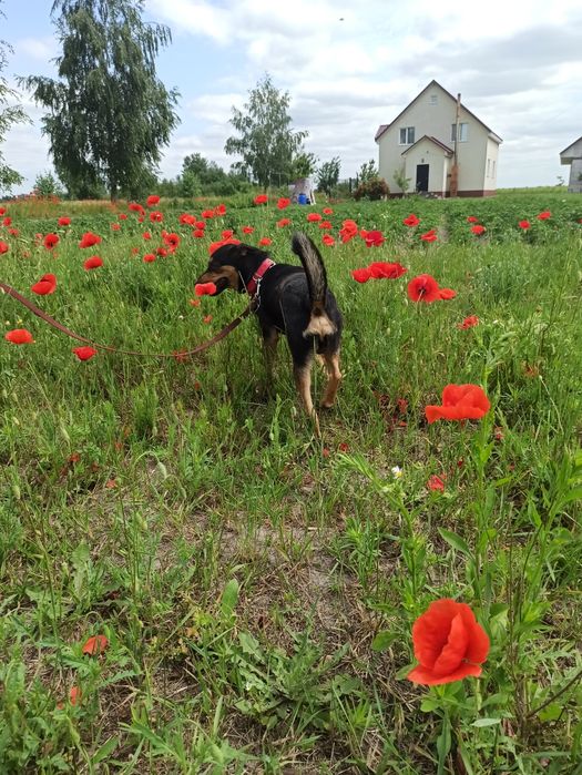 Хлопчик 3роки, Херсон