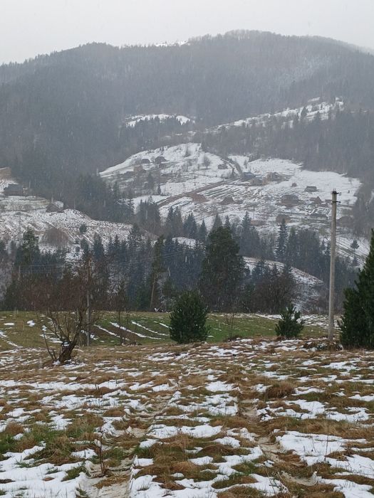 Відпочинок у карпатах. Ціна договірна