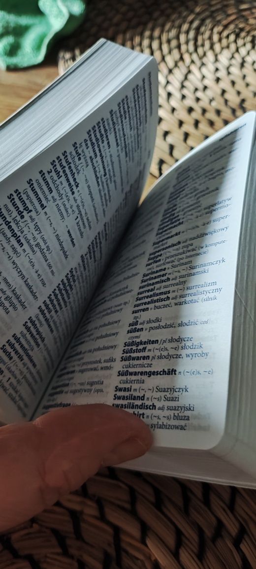 Język niemiecki słownik