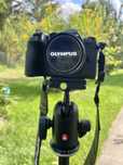 Głowica kulowa Manfrotto 498RC4