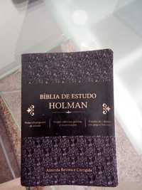 Bíblia de Estudo Bíblico Holman - Nova