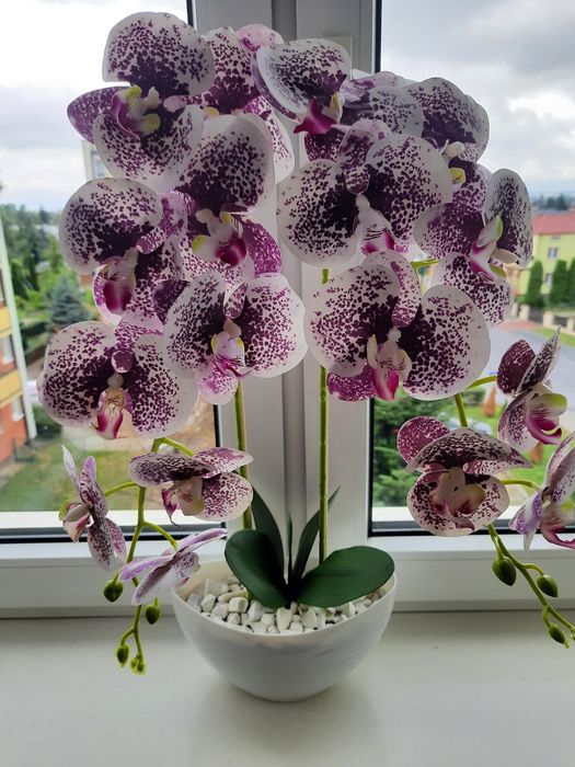 Storczyk sztuczny silikonowy jak żywy