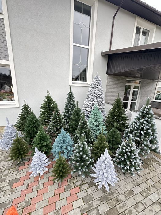 Продам ялинки різних розмірів (багато видів)