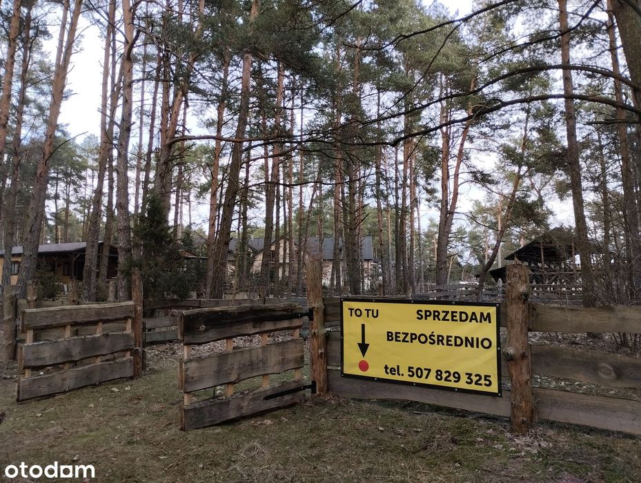 Piękne działki leśne Wólka Nadbużna nad rzeką Bug