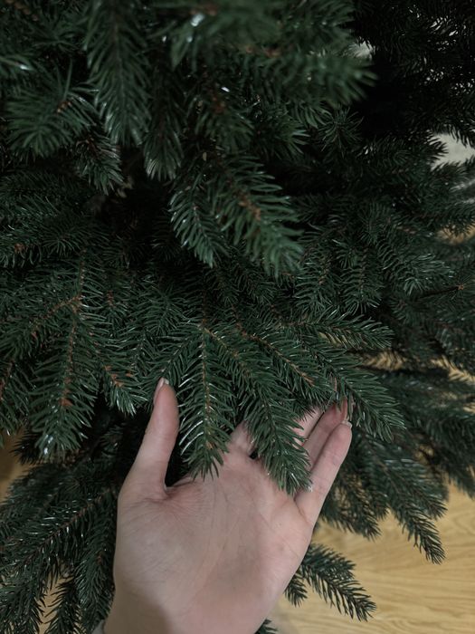 Ялинка лита Віденська