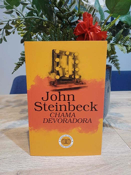 Chama devoradora (NOVO)