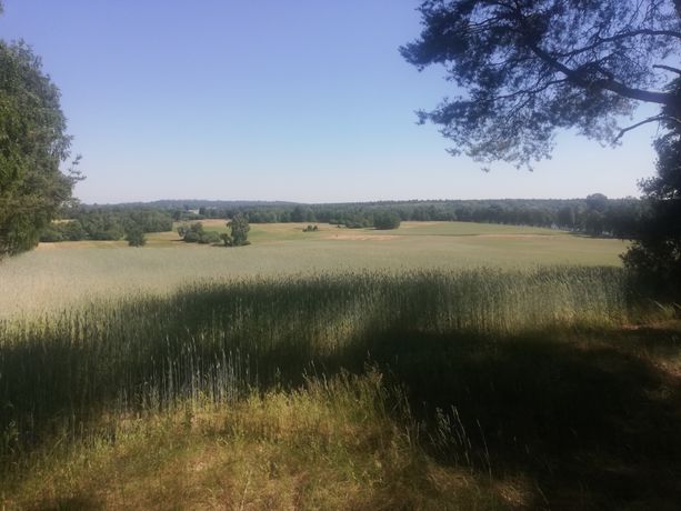 Działka nad jeziorem