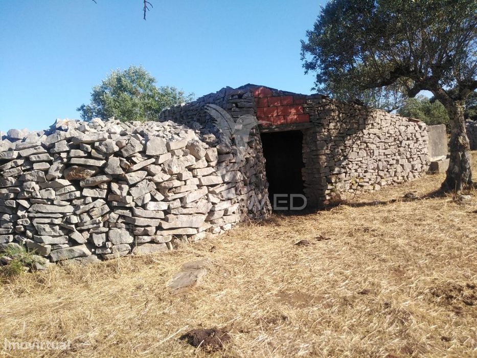 Terreno Rústico Vedado com Olival e Infraestruturas – Aldeia da Pai...