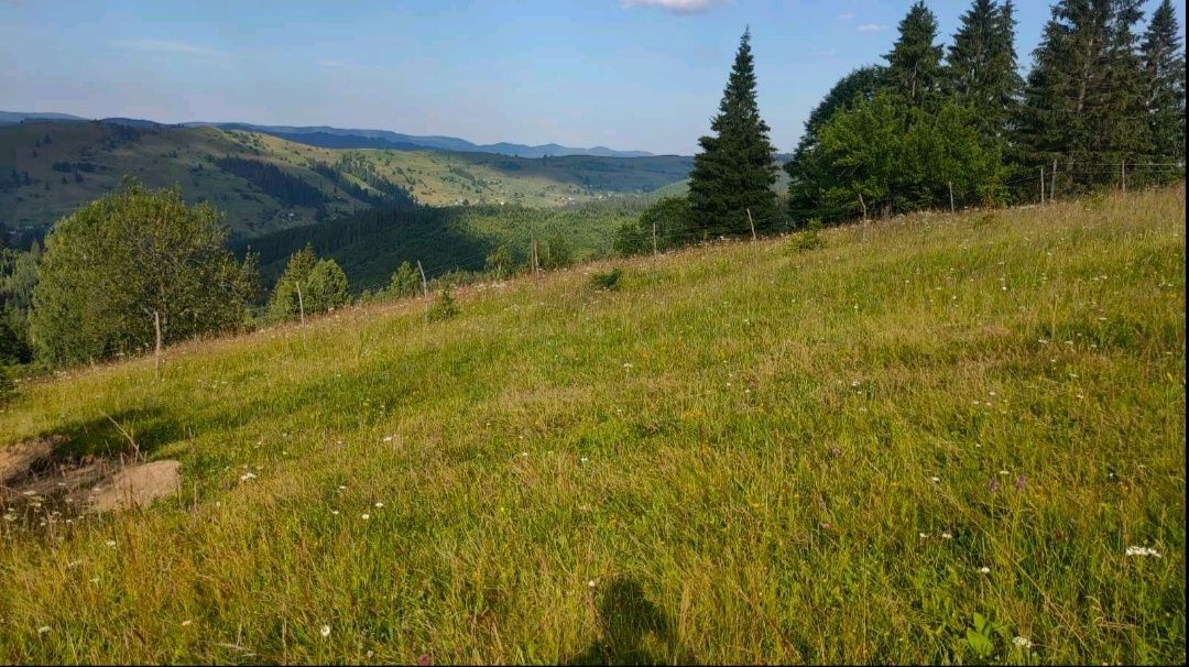 Продам земельну ділянку площею 1.25га  у горах Карпатах ціна за соту..