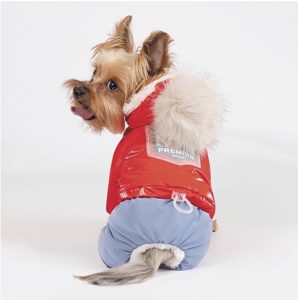 Костюмы , дождевики для собак Pet Fashion