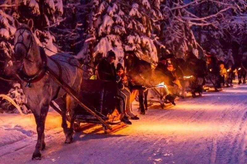 Impreza sylwestrowa z kuligiem w Dolinie Chochołowskiej k/Zakopanego !