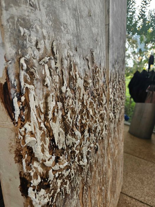 Conjunto de Quadros abstratos