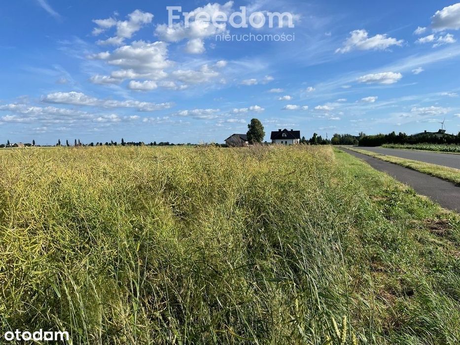 Działka budowlana w Browinie - 2 km od Chełmży