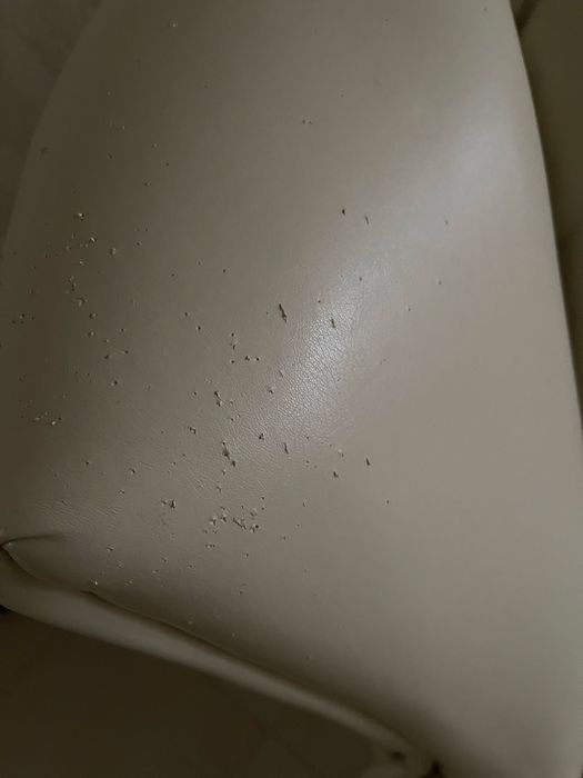 Розкладний диван із екошкіри