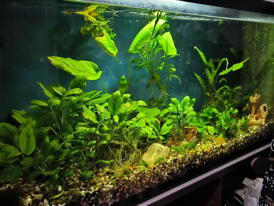 Продам Аквариумы 240, 30