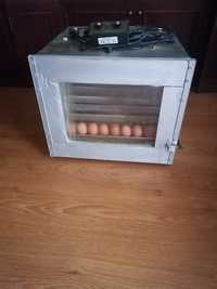 Inkubator na jaja