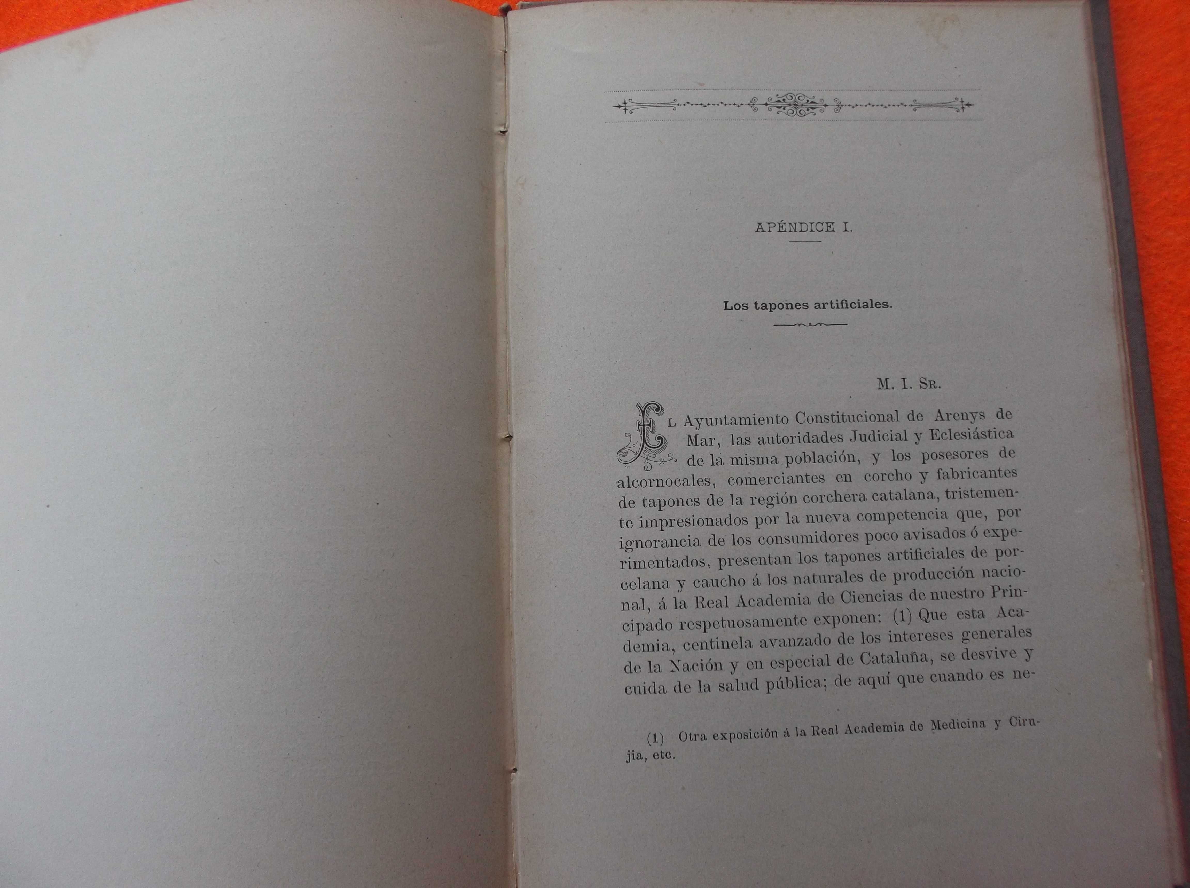 Memoria Sobre la Liga Aduaneira Hispano - Portuguesa 1893