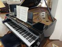 Oportunidade - Piano cauda IBACH / modelo FIII - Richard Strauss