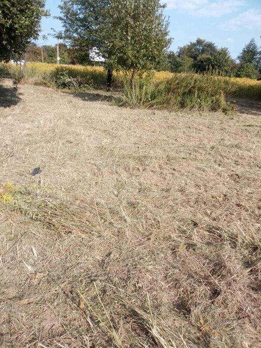 Transport-przeprowadzki