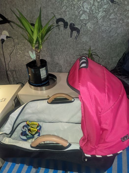 Коляска 3 в 1 Dada Paradiso Carino красный в полоску (3в1)