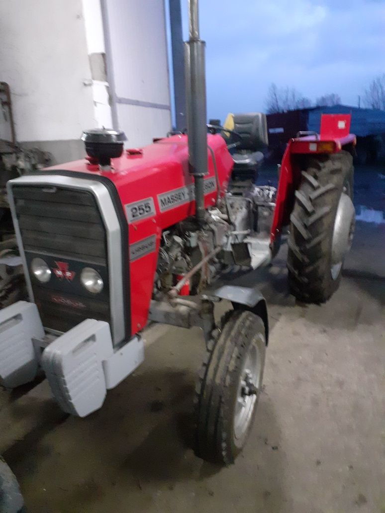 Massey Ferguson 255 nie ursus