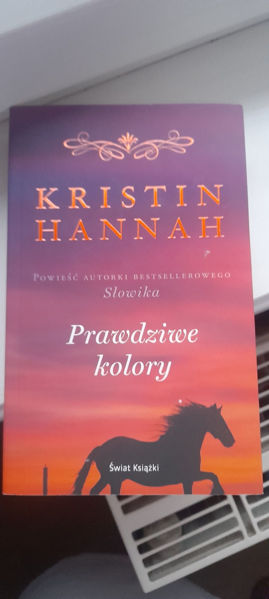 Kristin Hannah " Prawdziwe kolory"