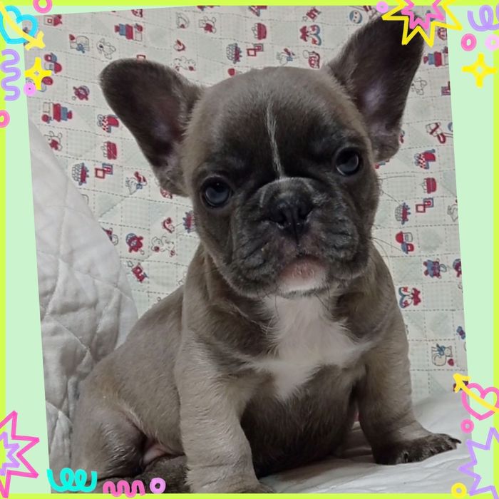 Енергійні красені