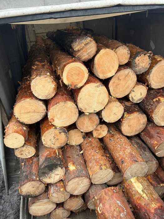 Ліс сосновий кругляк свіжопиляний