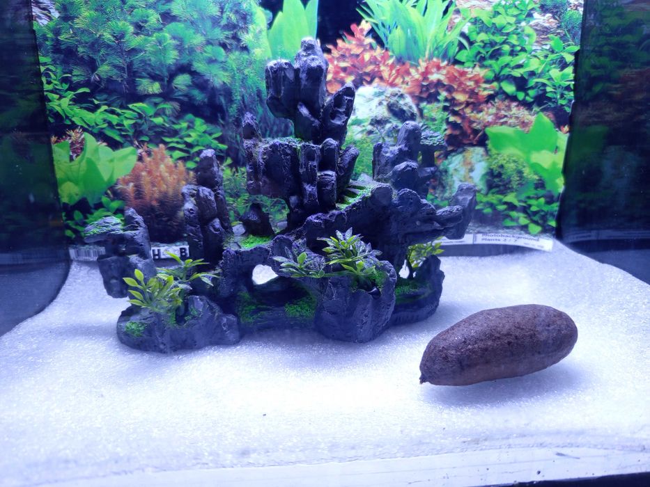 Akwarium mało używane