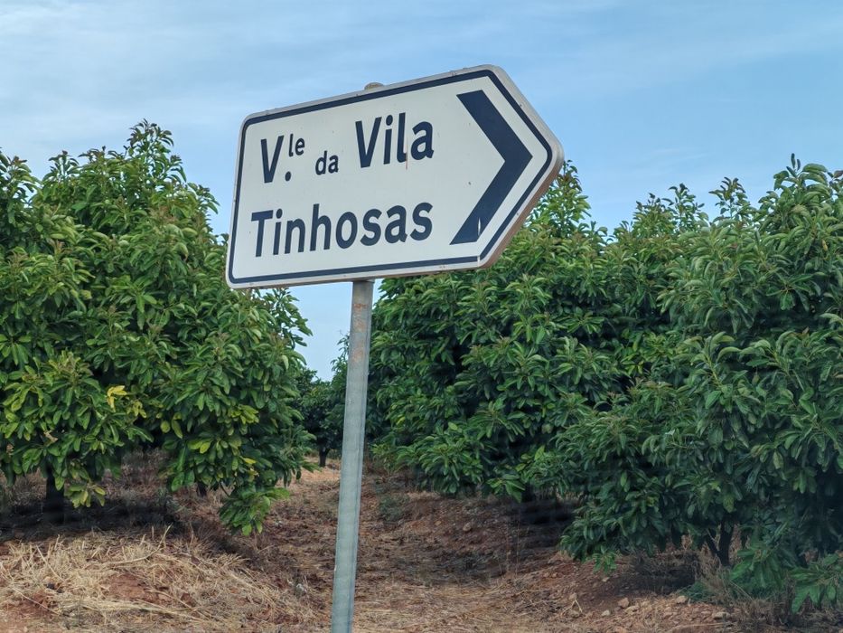 Terreno RUSTICO em Tinhosas SILVES