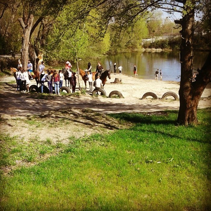сдам дом сруб Ковбой на берегу пруда в п | Хорошево в 12км от Харькова