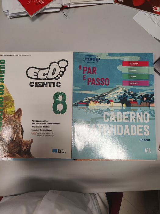 Livros fichas 8° ano